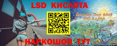 шишки Свободный