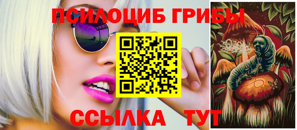 Ногинск  Псилоцибиновые грибы прущие грибы  Вход с VPN  Псилоцибиновые грибы мицелий 
