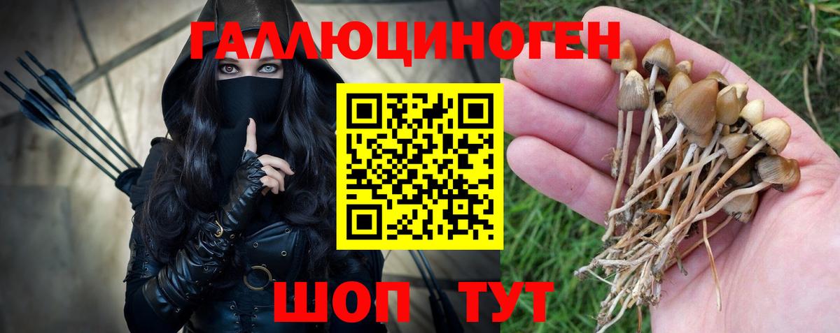 Галлюциногенные грибы Cubensis Ногинск